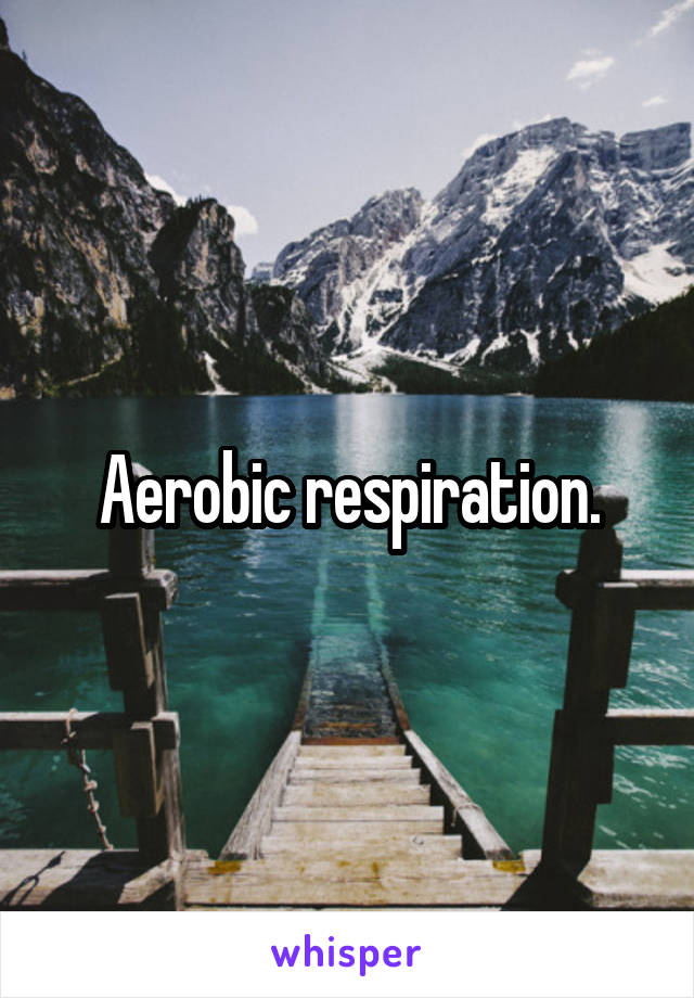 Aerobic respiration.
