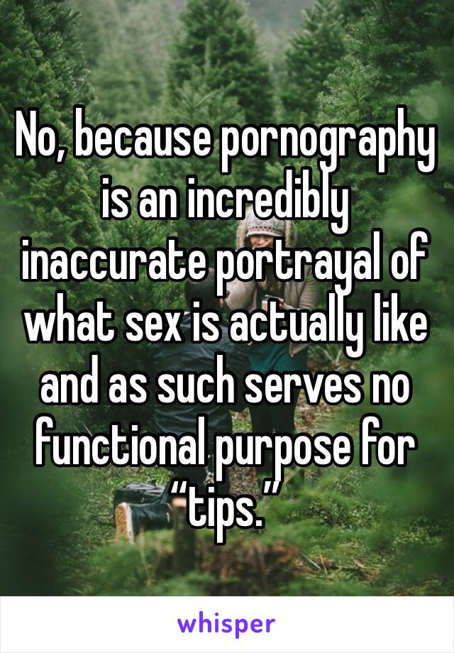 No, because pornography is an incredibly inaccurate portrayal of what sex is actually like and as such serves no functional purpose for “tips.”