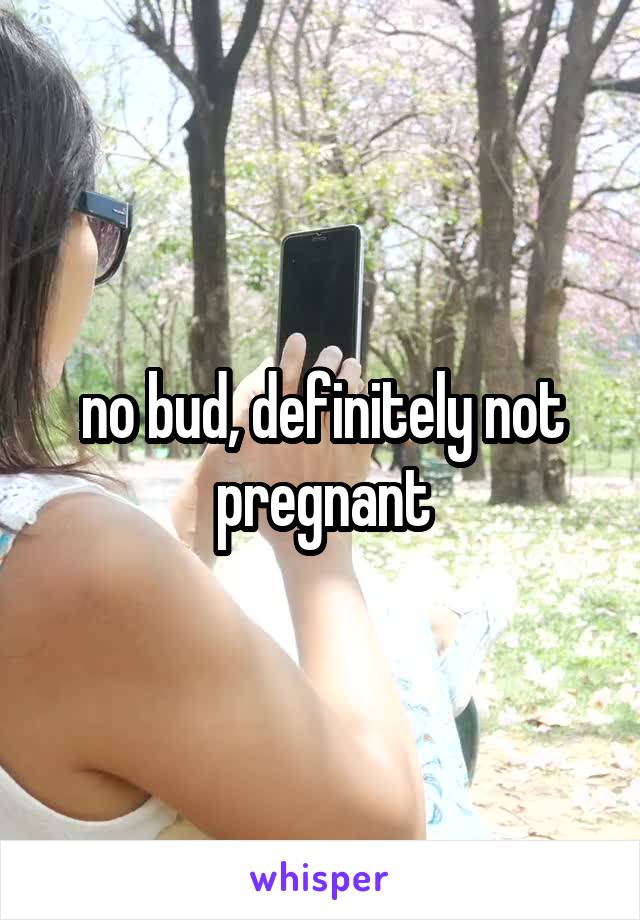 no bud, definitely not pregnant