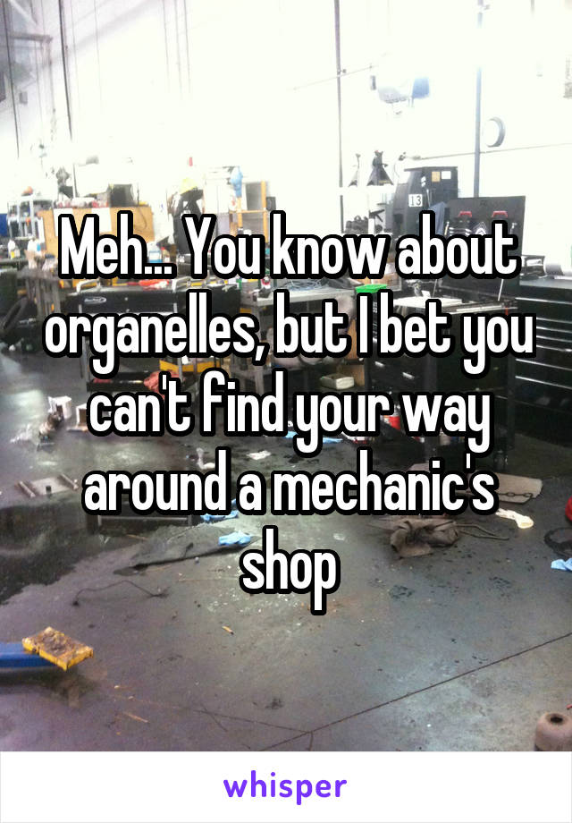 Meh... You know about organelles, but I bet you can't find your way around a mechanic's shop