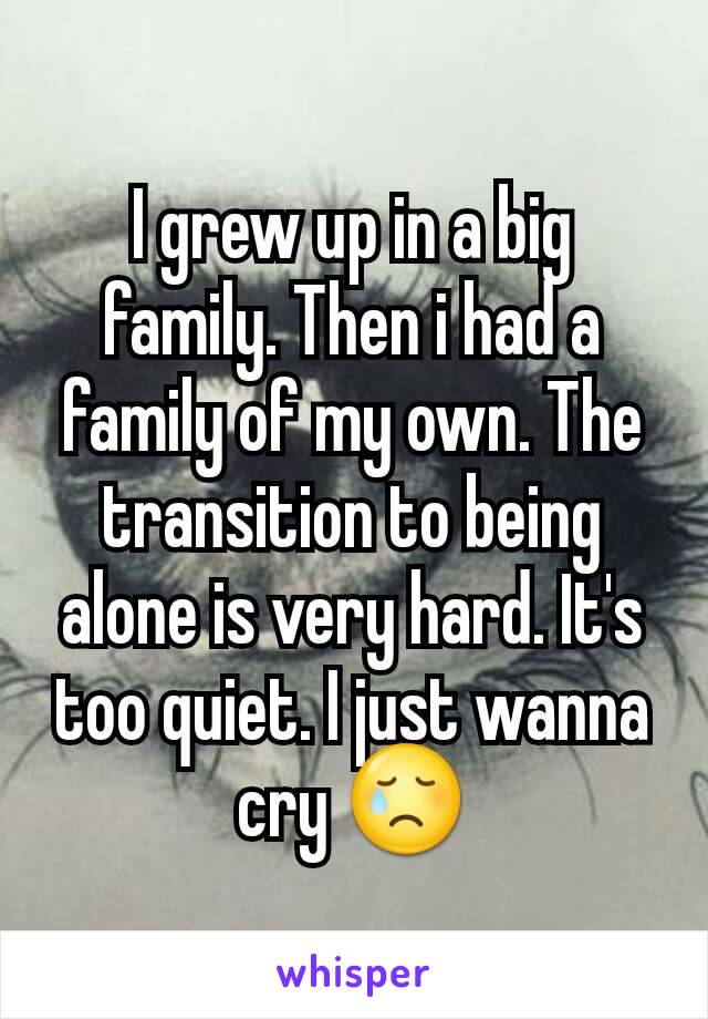 I grew up in a big family. Then i had a family of my own. The transition to being alone is very hard. It's too quiet. I just wanna cry 😢