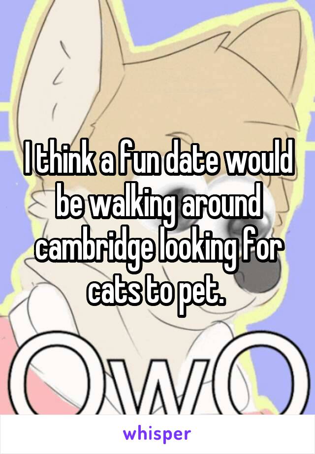 I think a fun date would be walking around cambridge looking for cats to pet. 