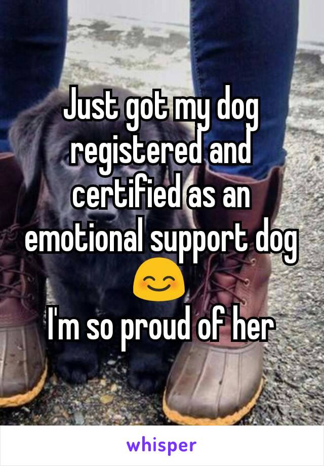 Just got my dog registered and certified as an emotional support dog 😊 
I'm so proud of her