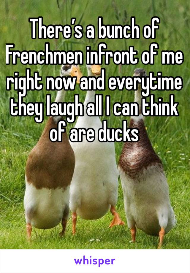 There’s a bunch of Frenchmen infront of me right now and everytime they laugh all I can think of are ducks 