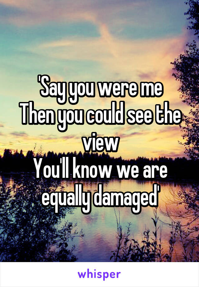 'Say you were me
Then you could see the view
You'll know we are equally damaged'