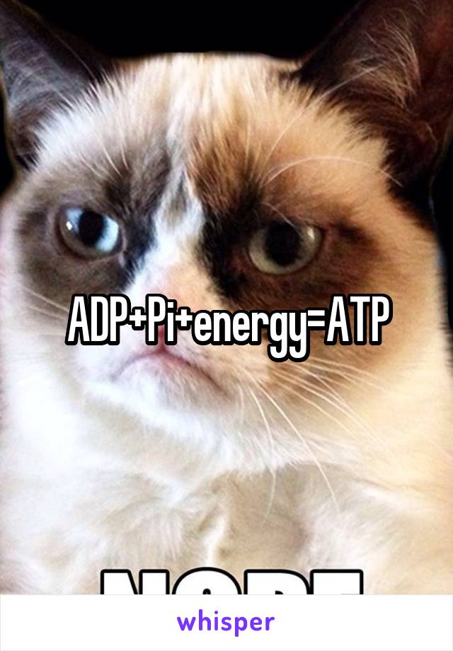 ADP+Pi+energy=ATP