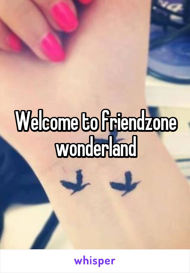 Welcome to friendzone wonderland