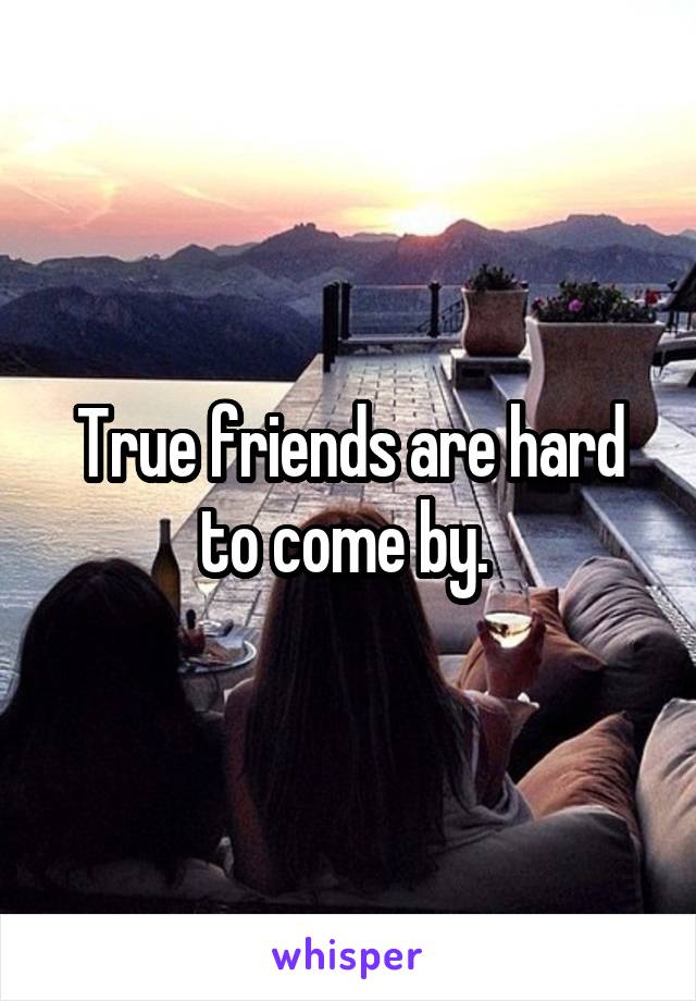 True friends are hard to come by. 