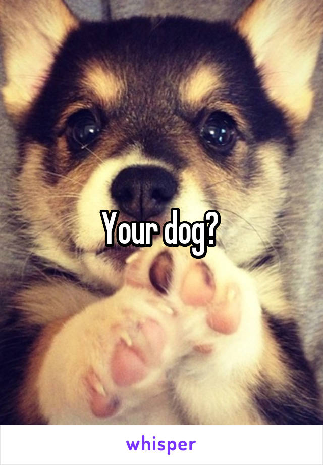 Your dog? 