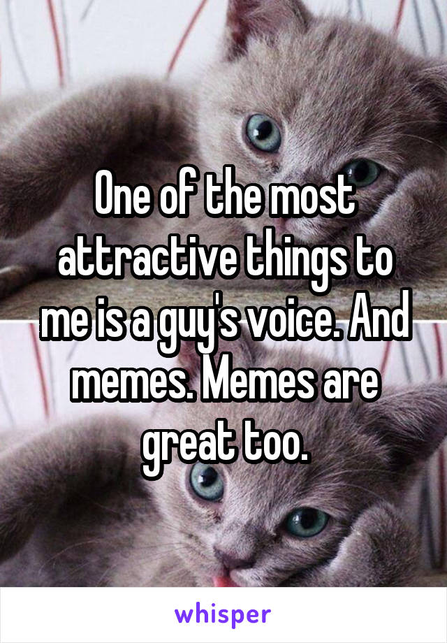 One of the most attractive things to me is a guy's voice. And memes. Memes are great too.
