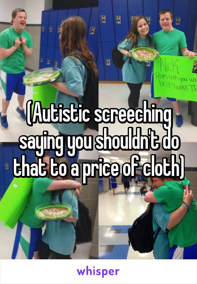 (Autistic screeching saying you shouldn't do that to a price of cloth)