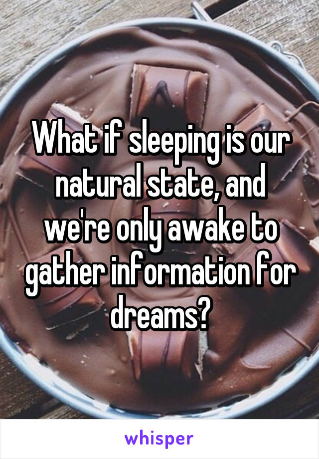 What if sleeping is our natural state, and we're only awake to gather information for dreams?