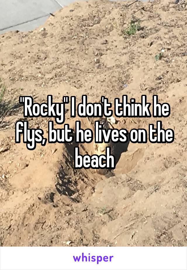 "Rocky" I don't think he flys, but he lives on the beach