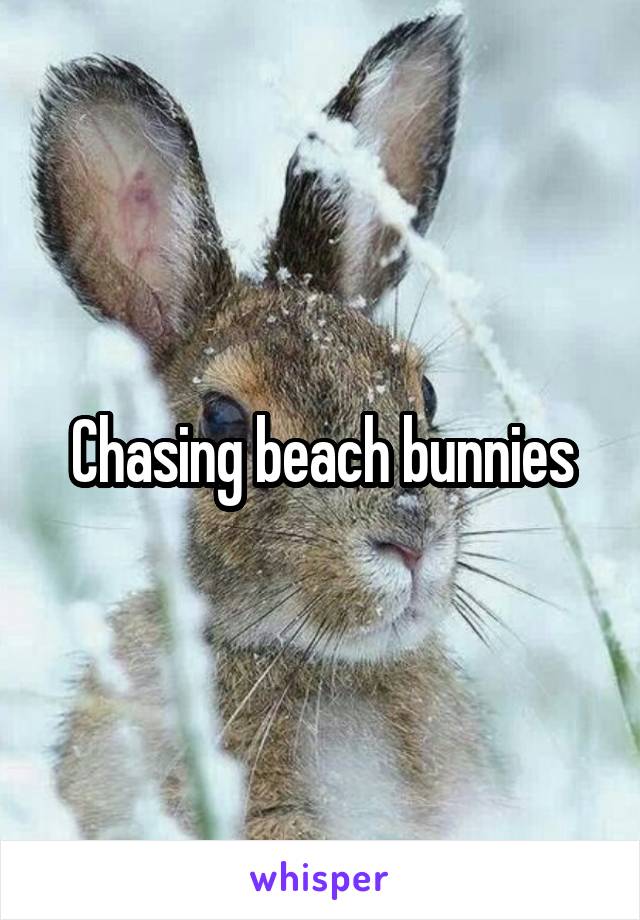 Chasing beach bunnies