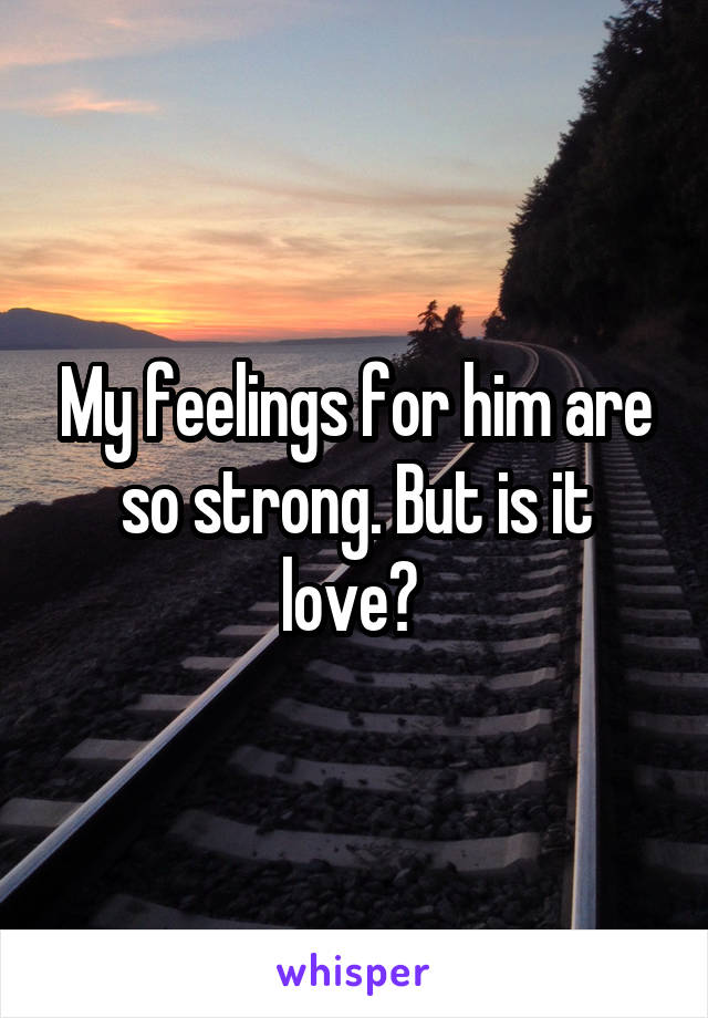 My feelings for him are so strong. But is it love? 