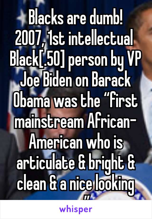 Blacks are dumb!
2007, 1st intellectual 
Black[.50] person by VP Joe Biden on Barack Obama was the “first mainstream African-American who is articulate & bright & clean & a nice looking guy.”