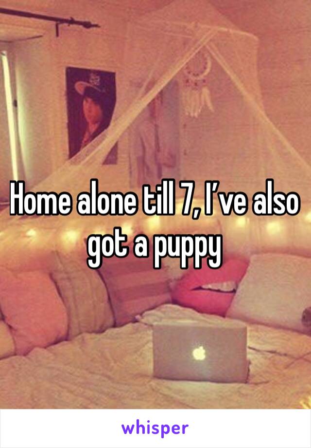 Home alone till 7, I’ve also got a puppy
