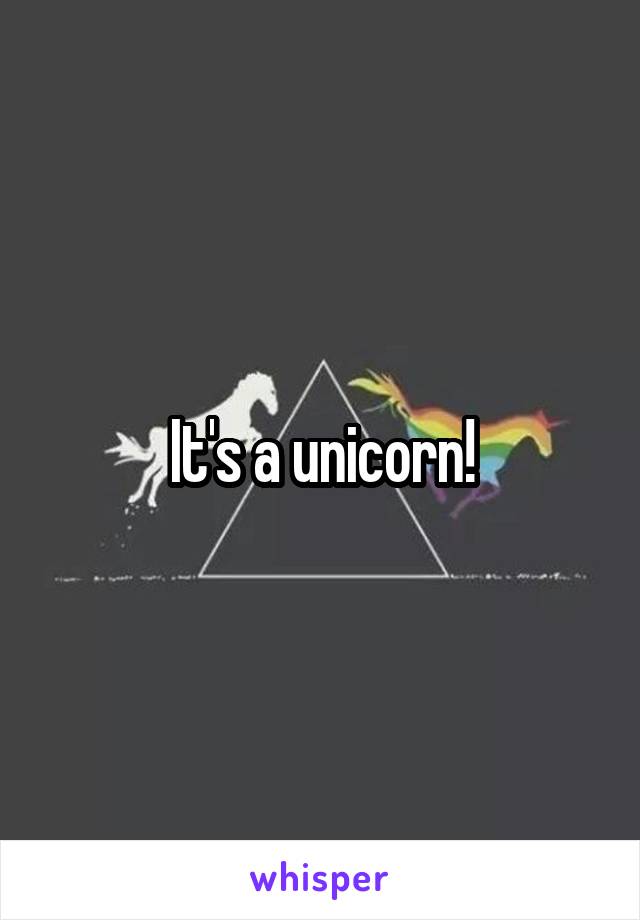 It's a unicorn!