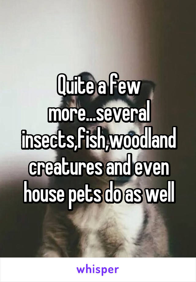 Quite a few more...several insects,fish,woodland creatures and even house pets do as well