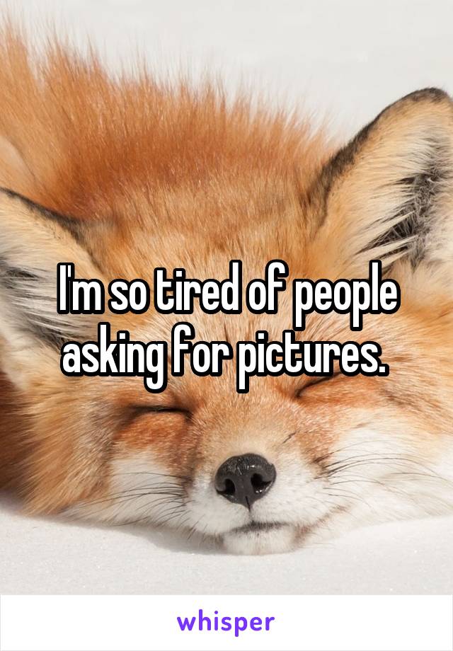 I'm so tired of people asking for pictures. 