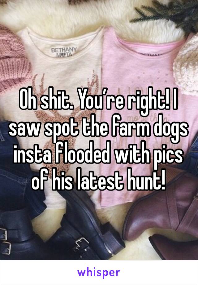 Oh shit. You’re right! I saw spot the farm dogs insta flooded with pics of his latest hunt!