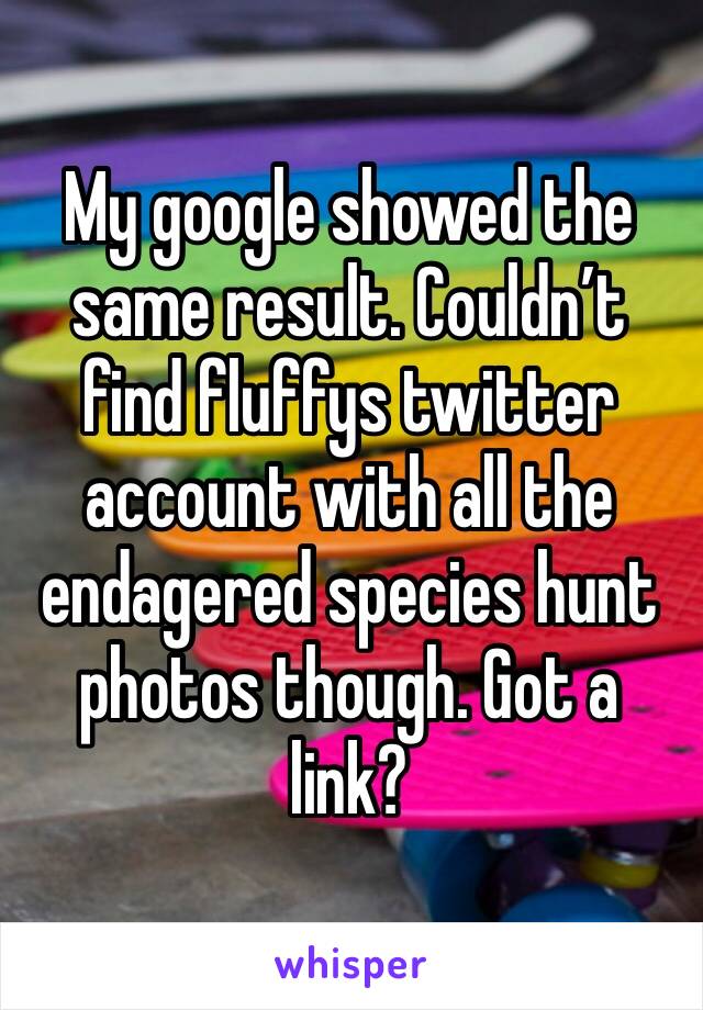 My google showed the same result. Couldn’t find fluffys twitter account with all the endagered species hunt photos though. Got a link?