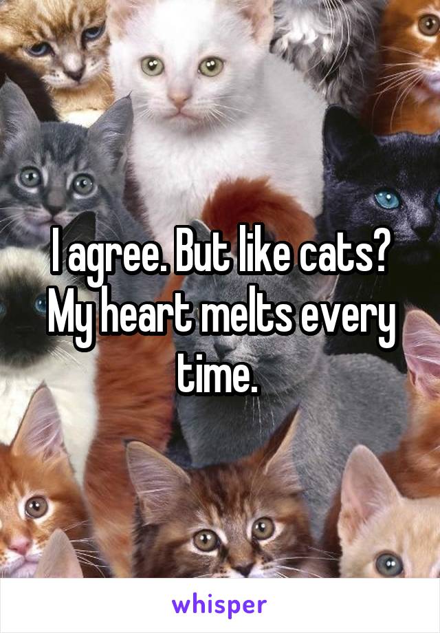 I agree. But like cats? My heart melts every time. 