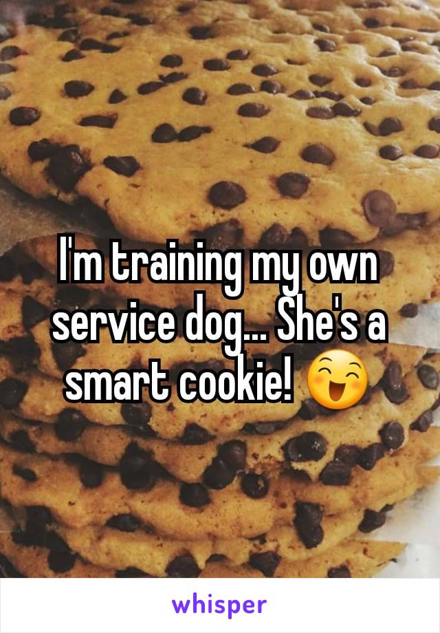 I'm training my own service dog... She's a smart cookie! 😄