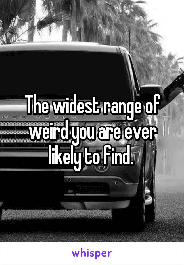 The widest range of weird you are ever likely to find. 