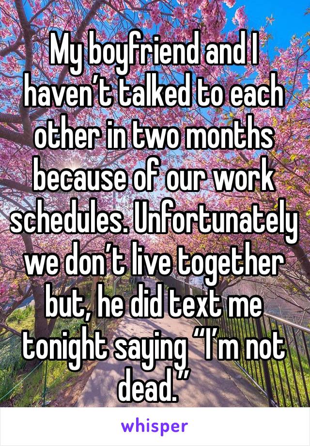 My boyfriend and I haven’t talked to each other in two months because of our work schedules. Unfortunately we don’t live together but, he did text me tonight saying “I’m not dead.”