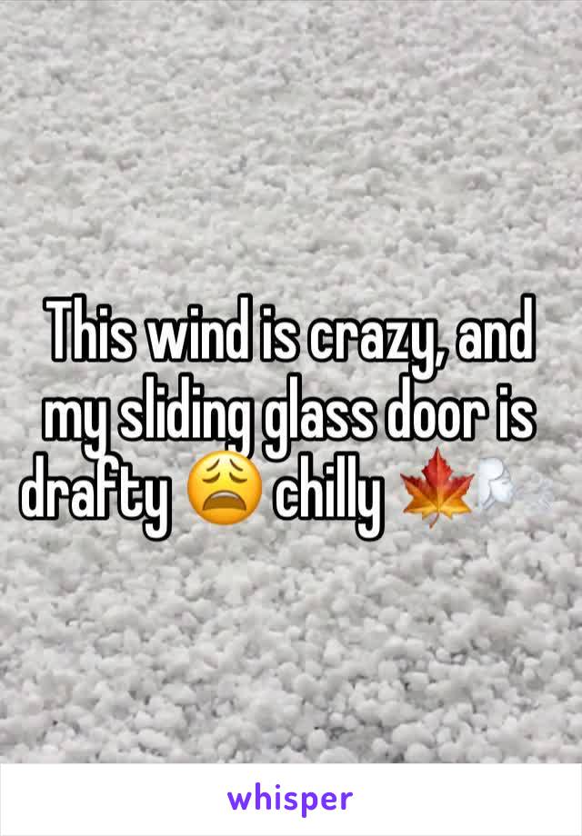 This wind is crazy, and my sliding glass door is drafty 😩 chilly 🍁🌬