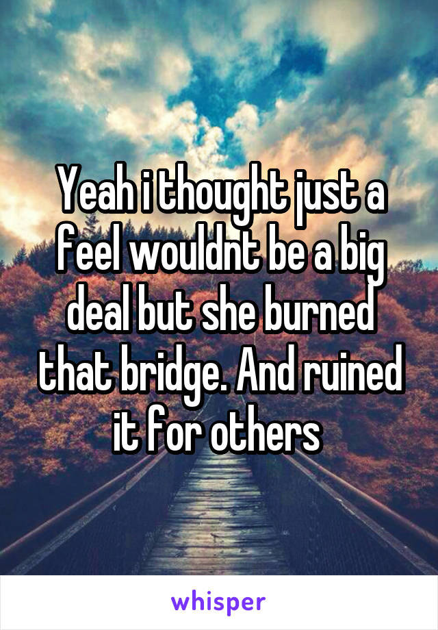 Yeah i thought just a feel wouldnt be a big deal but she burned that bridge. And ruined it for others 