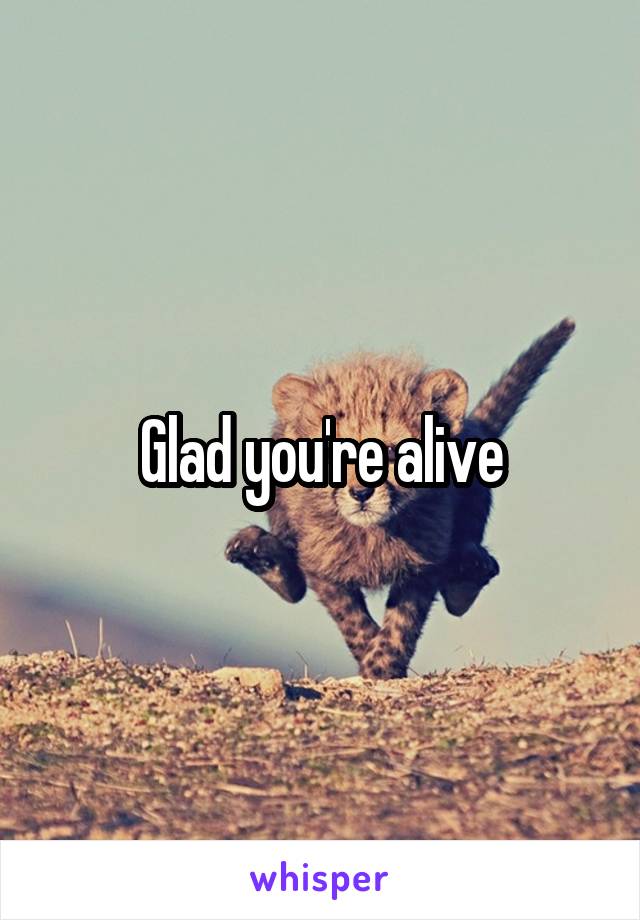 Glad you're alive