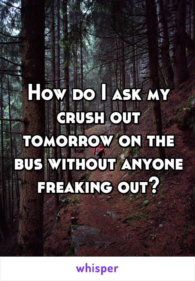 How do I ask my crush out tomorrow on the bus without anyone freaking out?