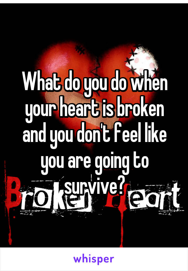 What do you do when your heart is broken and you don't feel like you are going to survive?