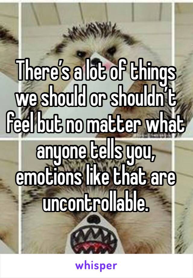 There’s a lot of things we should or shouldn’t feel but no matter what anyone tells you, emotions like that are uncontrollable. 