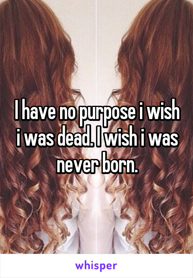 I have no purpose i wish i was dead. I wish i was never born.