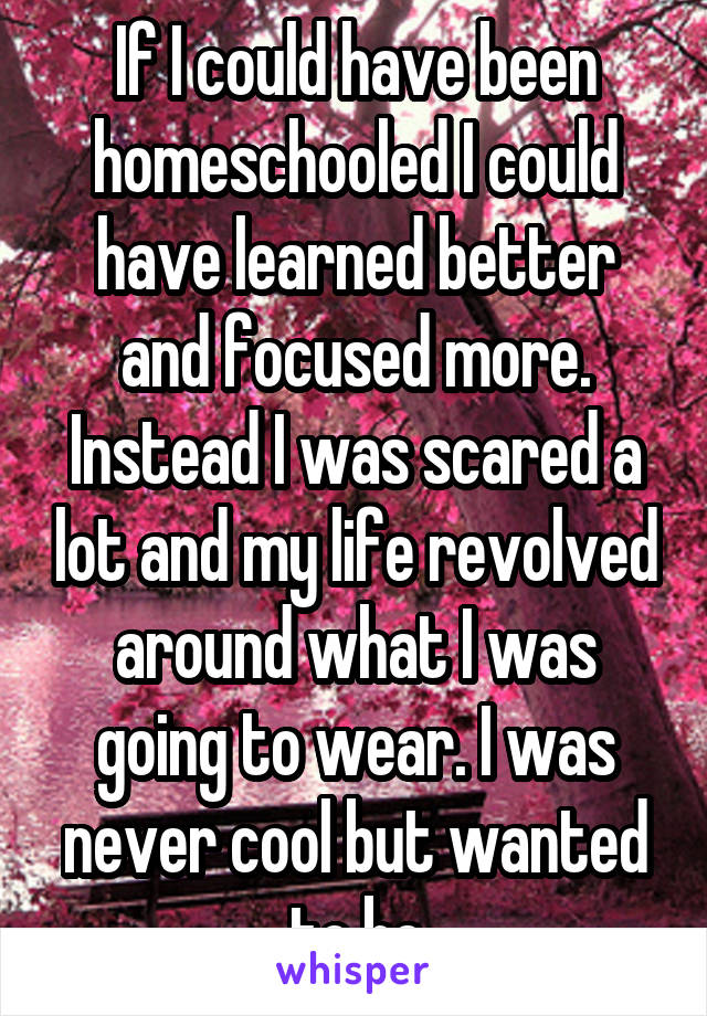 If I could have been homeschooled I could have learned better and focused more. Instead I was scared a lot and my life revolved around what I was going to wear. I was never cool but wanted to be