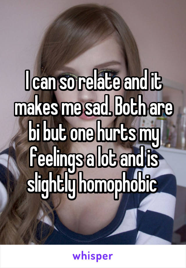 I can so relate and it makes me sad. Both are bi but one hurts my feelings a lot and is slightly homophobic 