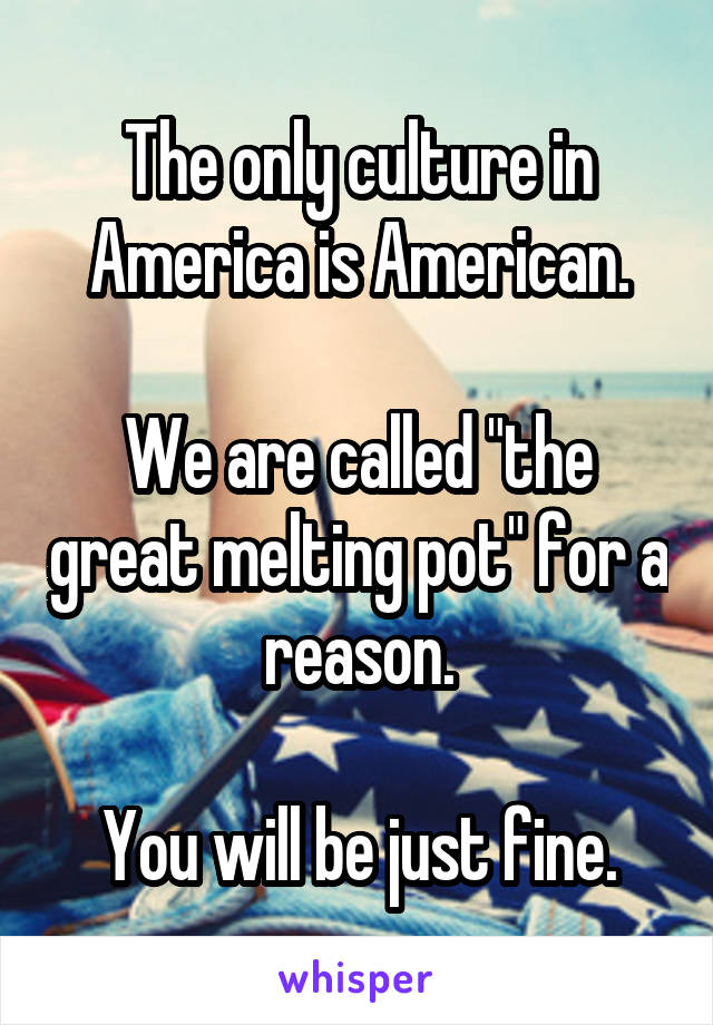 The only culture in America is American.

We are called "the great melting pot" for a reason.

You will be just fine.