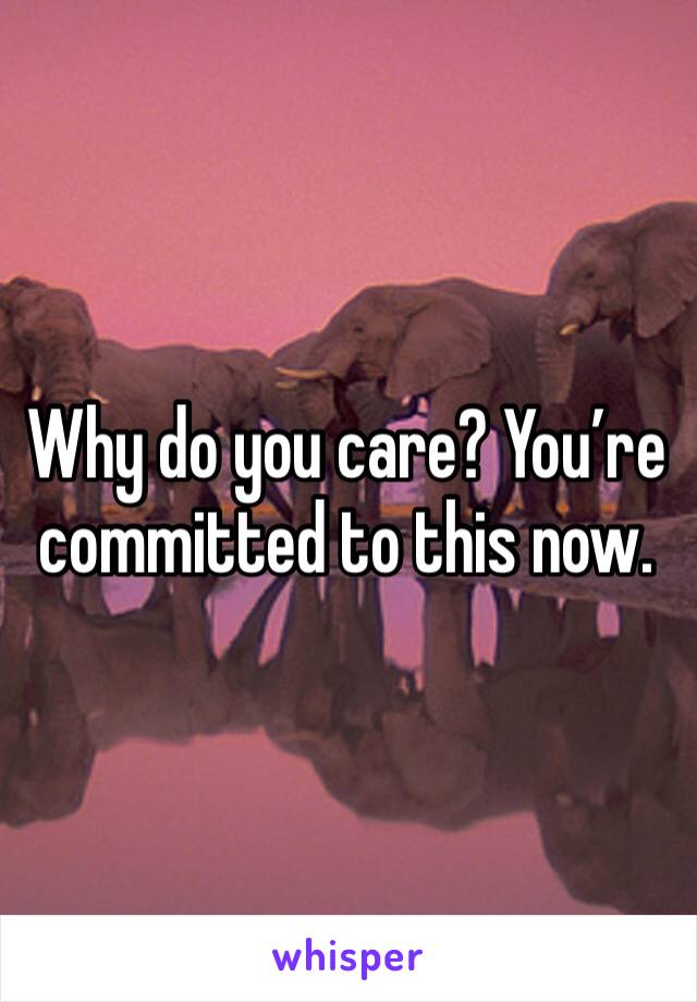 Why do you care? You’re committed to this now. 