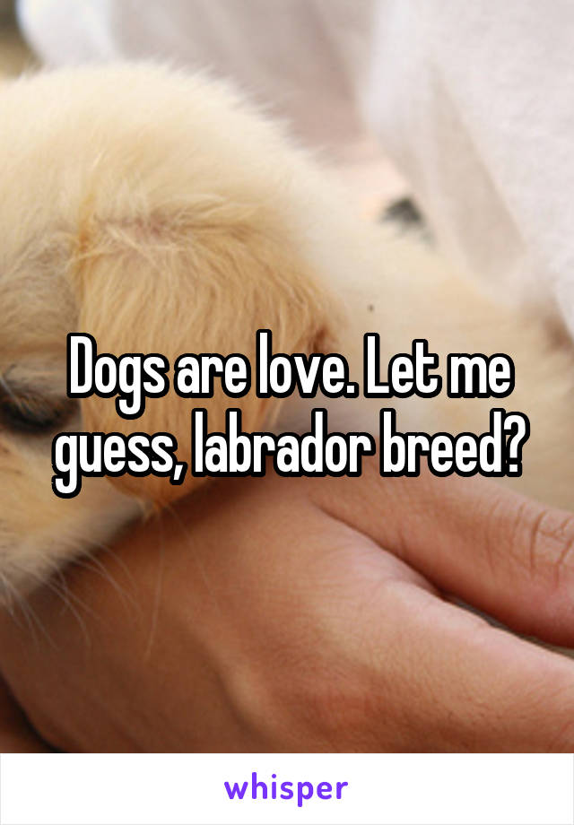 Dogs are love. Let me guess, labrador breed?