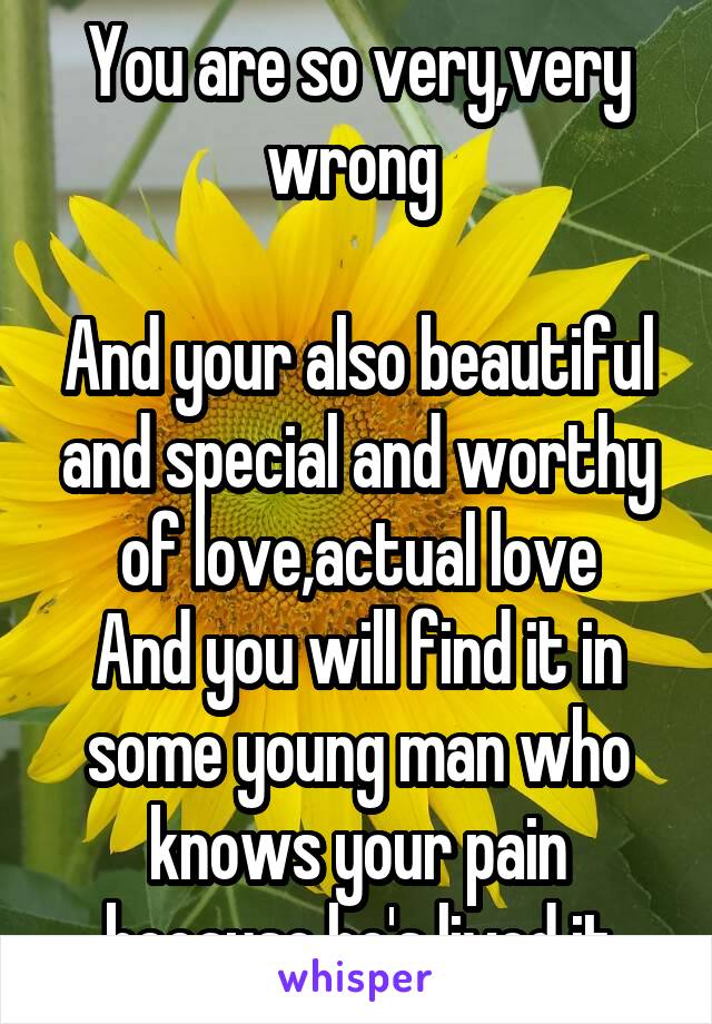 You are so very,very wrong 

And your also beautiful and special and worthy of love,actual love
And you will find it in some young man who knows your pain because he's lived it