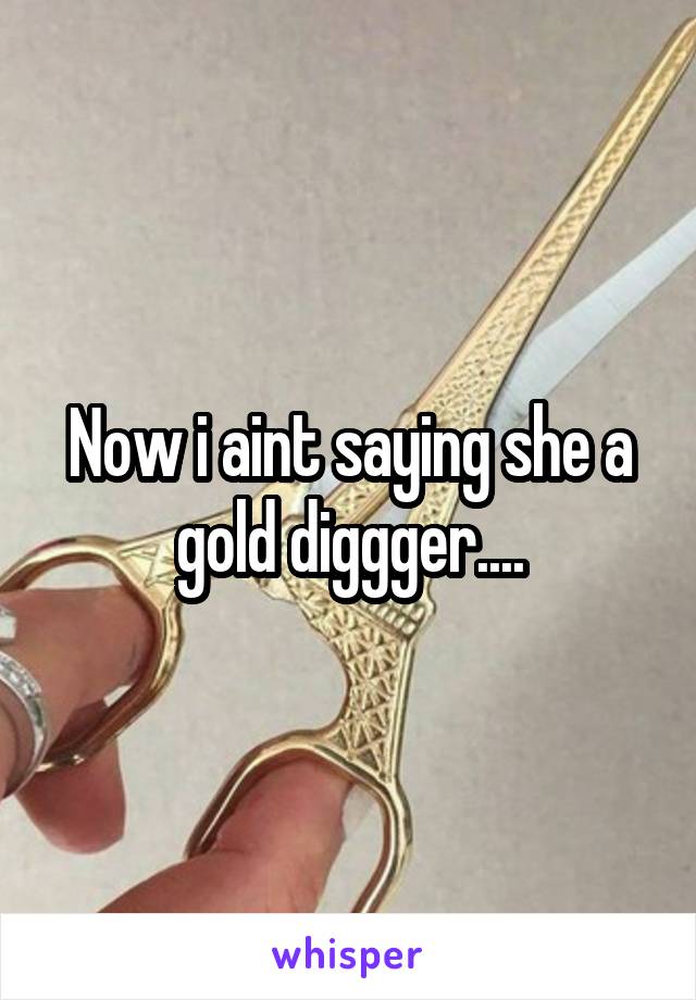 Now i aint saying she a gold diggger....