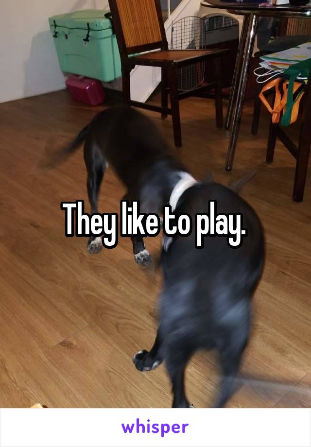 They like to play. 