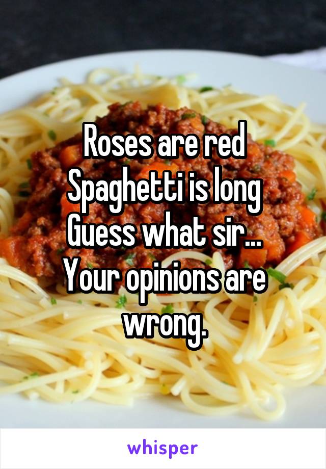 Roses are red
Spaghetti is long
Guess what sir...
Your opinions are wrong.
