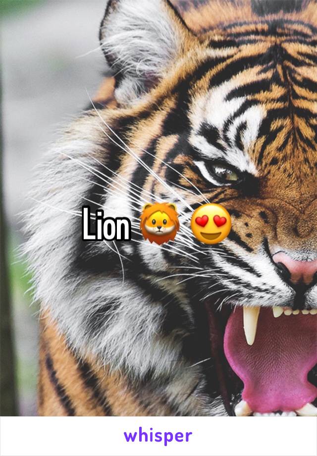 Lion 🦁 😍 