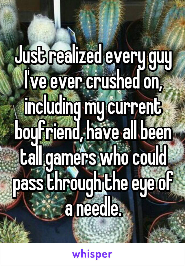 Just realized every guy I've ever crushed on, including my current boyfriend, have all been tall gamers who could pass through the eye of a needle.