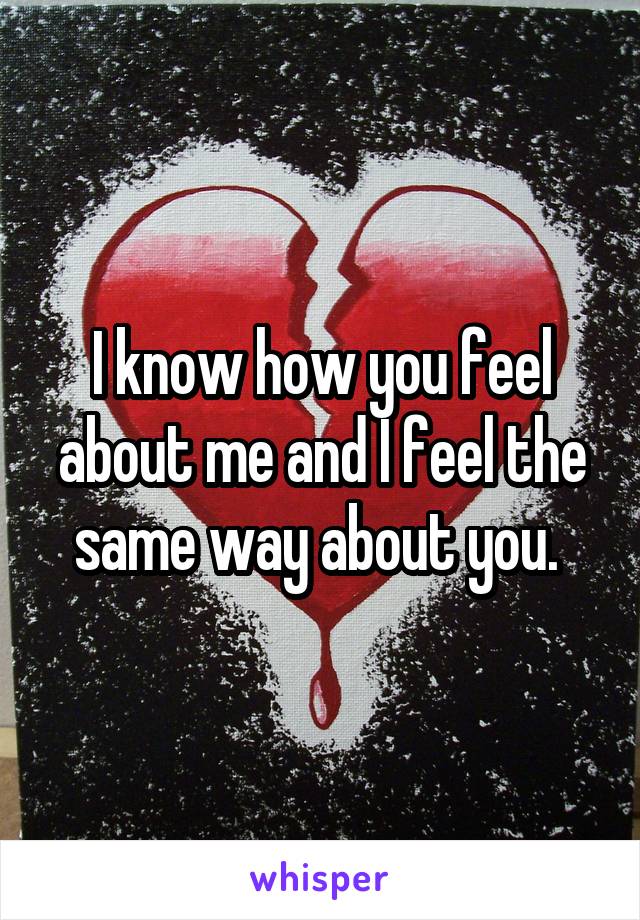 I know how you feel about me and I feel the same way about you. 