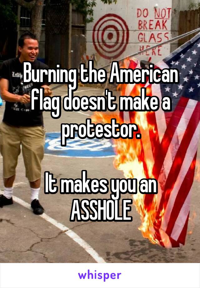 Burning the American flag doesn't make a protestor.

It makes you an ASSHOLE